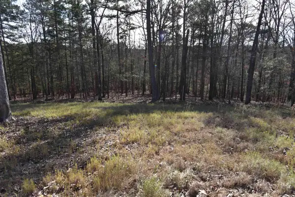 Tract 14 Sunnyside Of The Bay, Fairfield Bay, AR 72088