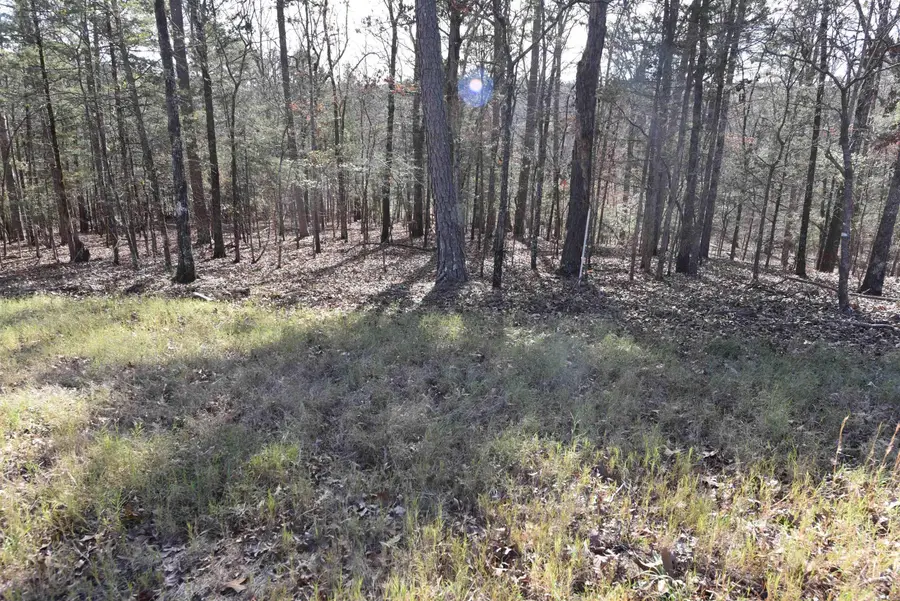 Tract 14 Sunnyside Of The Bay, Fairfield Bay, AR 72088 - #2
