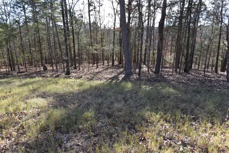 Tract 14 Sunnyside Of The Bay, Fairfield Bay, AR 72088 - #3