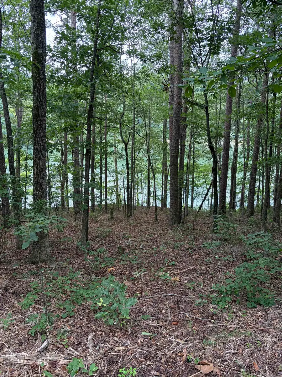 Bear Mountain Rd., Prim, AR 72130 - #3
