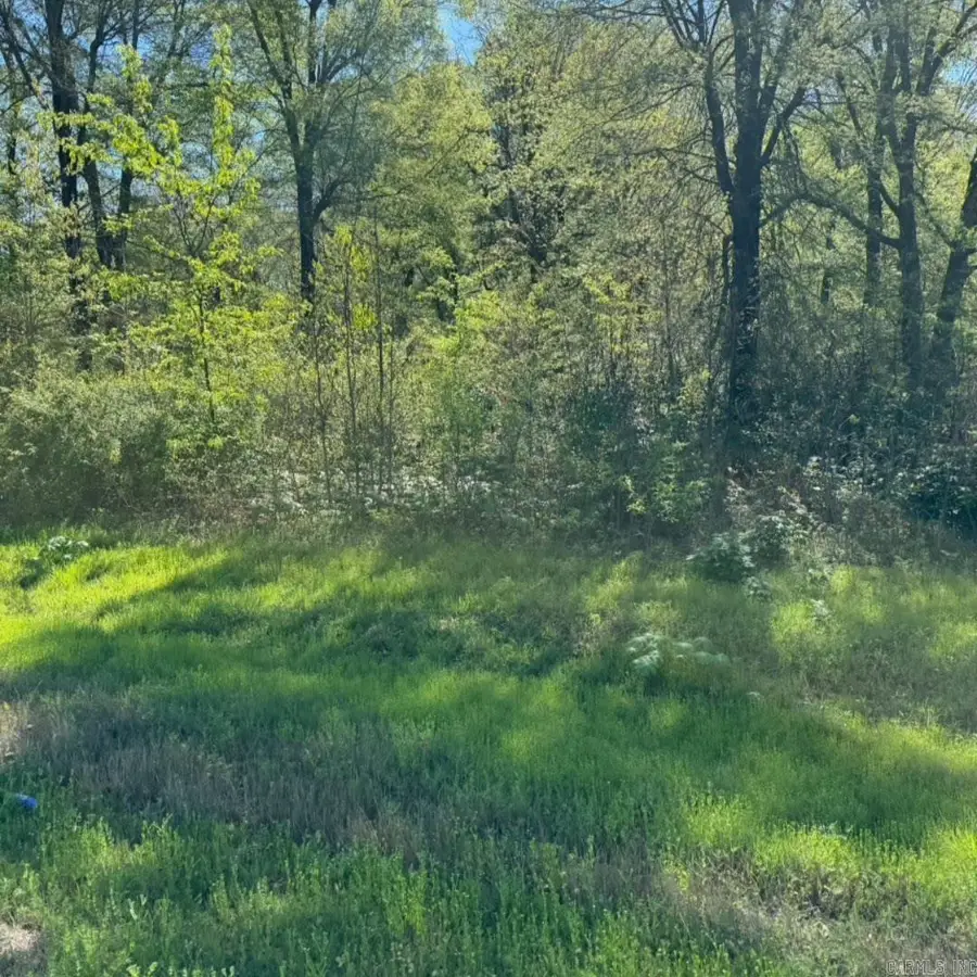 1630 Hwy 67 Highway, Corning, AR 72422 - #3