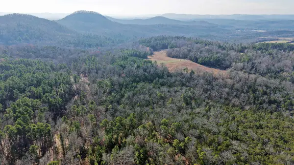 196 Gorby Road, Calico Rock, AR 72519