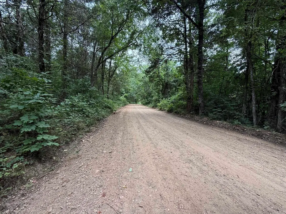 000 Lindsey Hill Lane, Mountain View, AR 72560 - #1