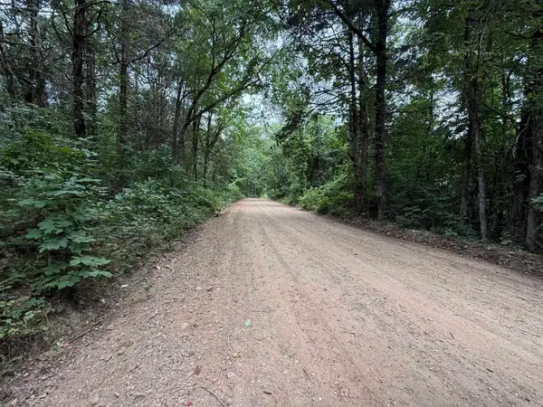 000 Lindsey Hill Lane, Mountain View, AR 72560