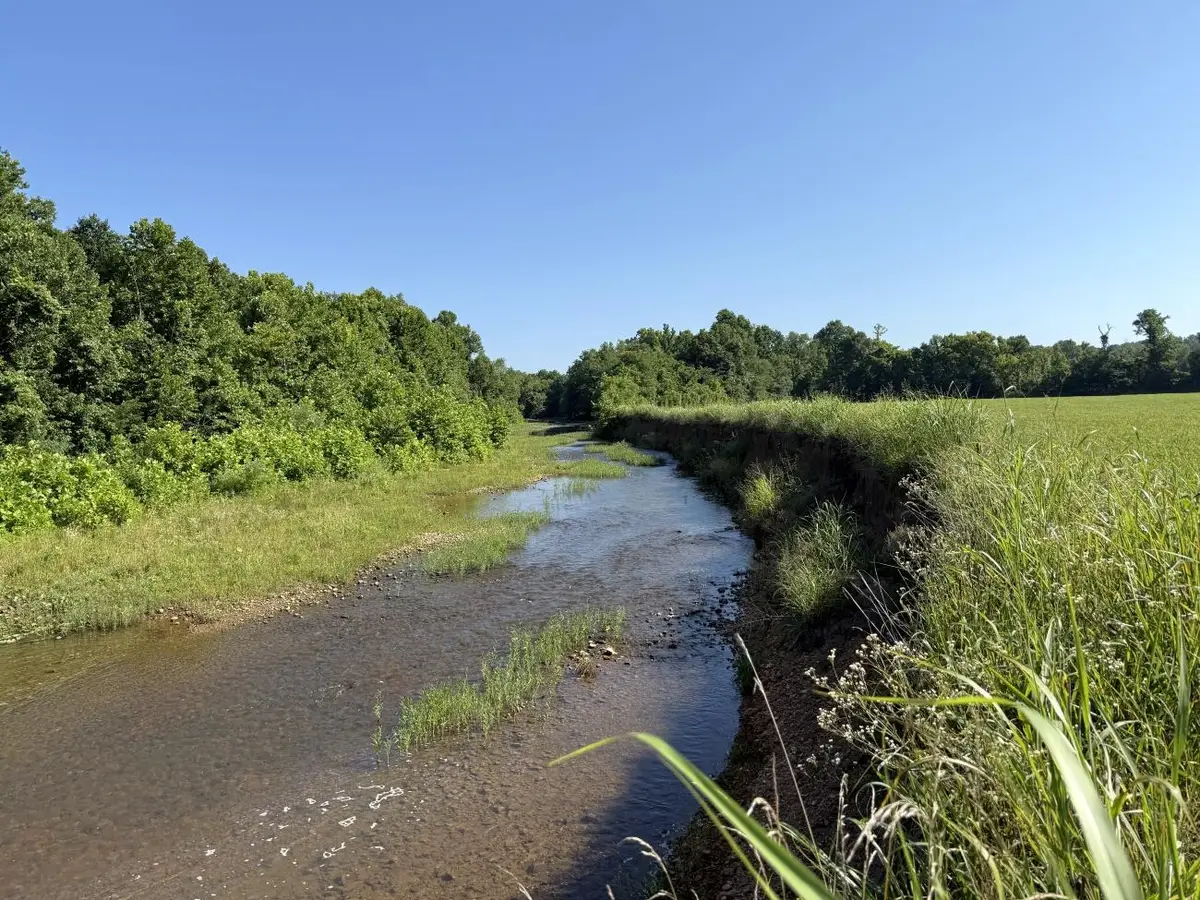 00 Hwy 63, Williford, AR 72482 - #1