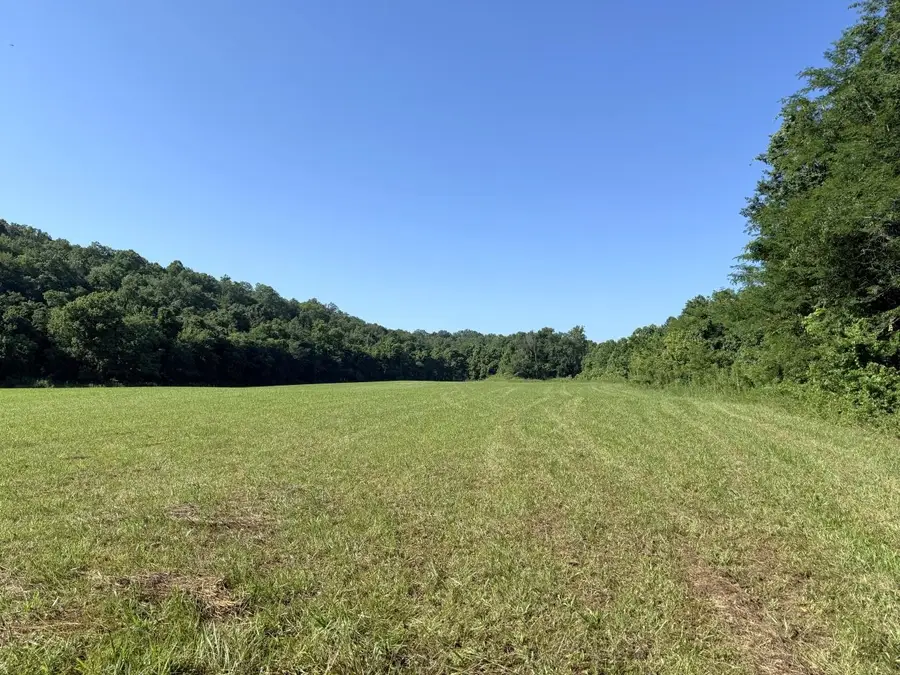 00 Hwy 63, Williford, AR 72482 - #3