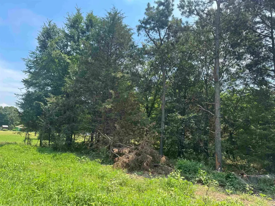 2.75 Acres Cr 2141, Coal Hill, AR 72832 - #2