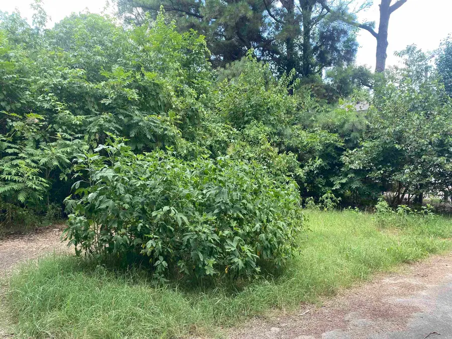 0000 B St, Paragould, AR 72450 - #2