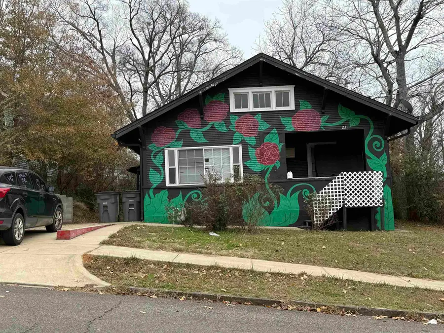 231 Oak Street, Hot Springs, AR 71901 - #2