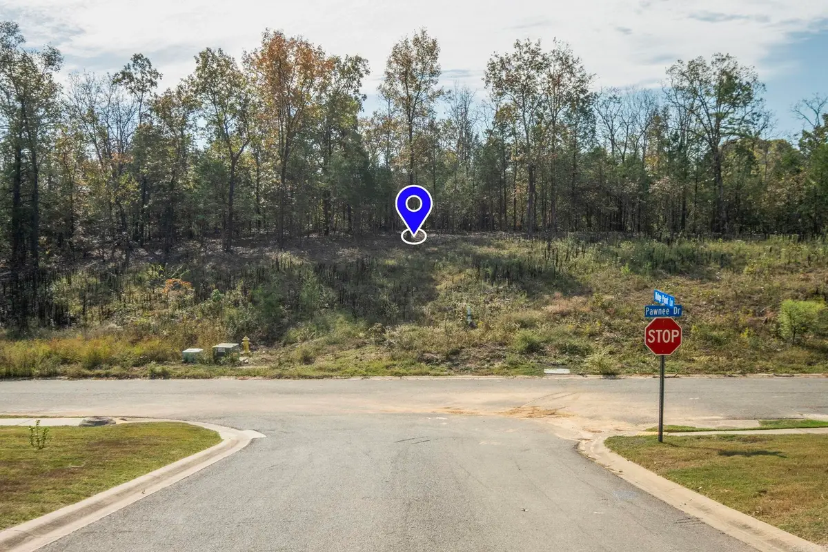 20 Pawnee Drive, Cabot, AR 72023 - #1