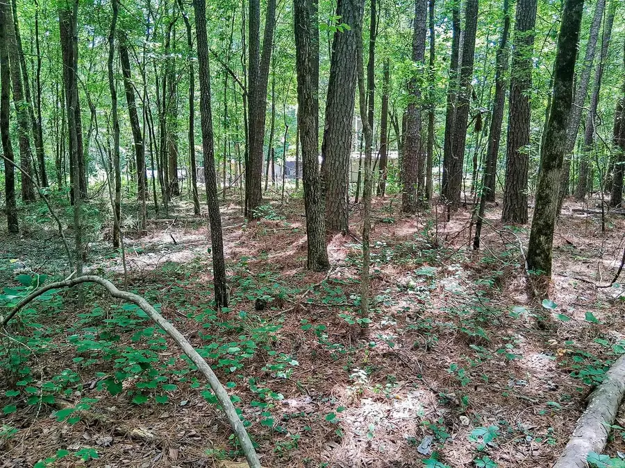 Hensley Loop, Hensley, AR 72065 - #2