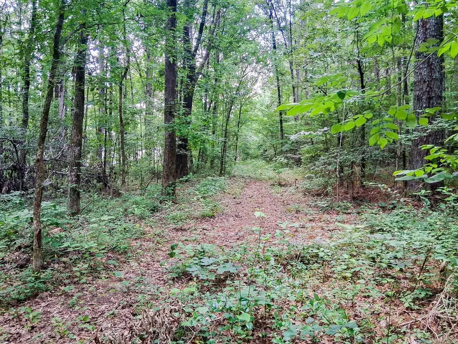 Hensley Loop, Hensley, AR 72065 - #3