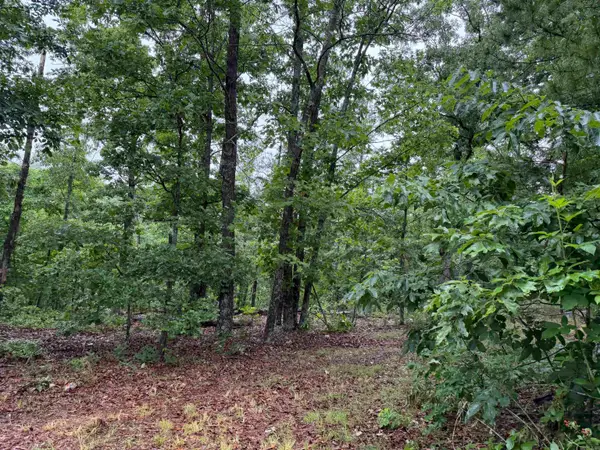 OFF OF Morgan Cave Road, Harrison, AR 72601