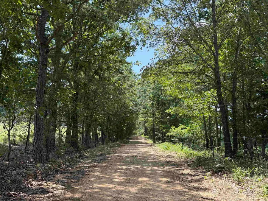 128 Republican Road, Salem, AR 72576 - #3