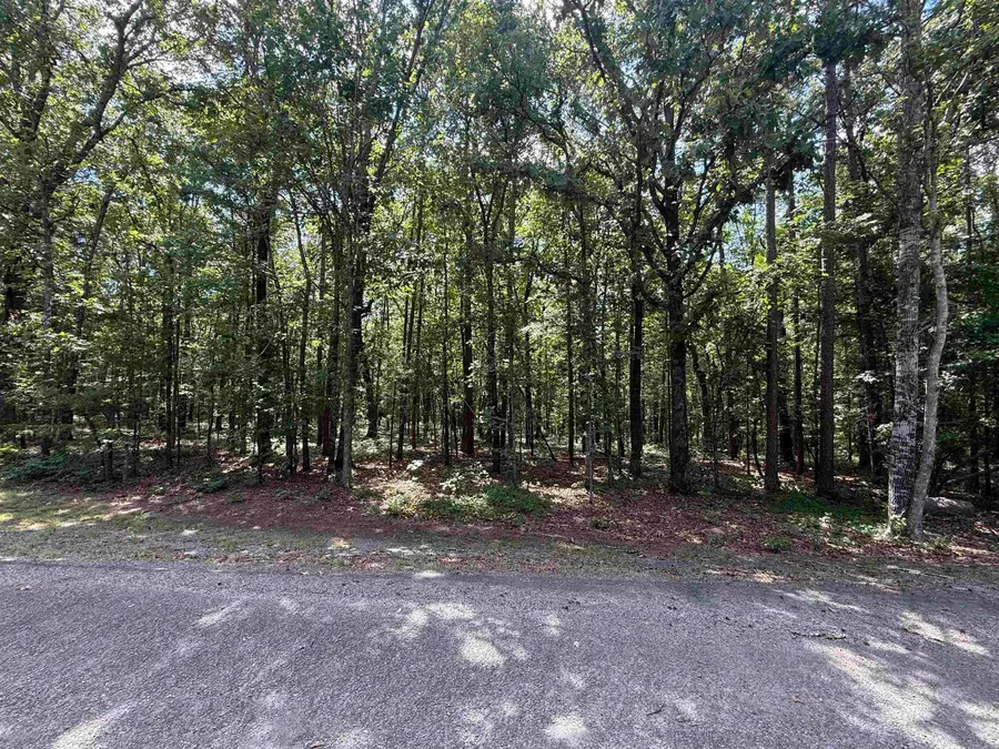 000 Farmers Circle, Higden, AR 72067 - #2