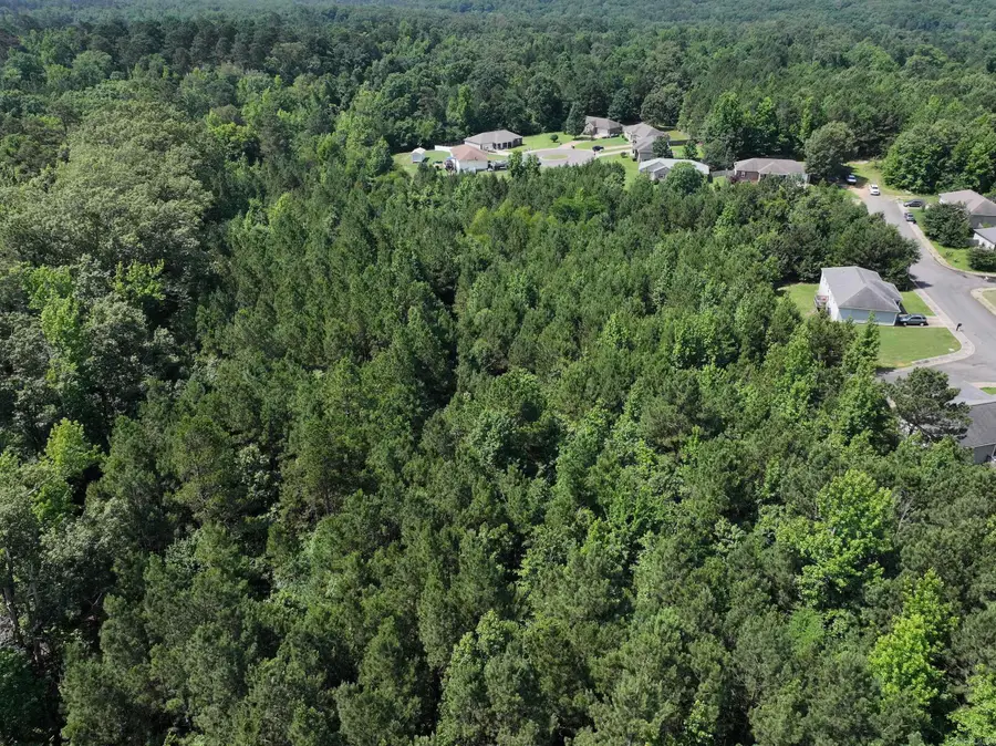 Lots 35-42 Somersett, Arkadelphia, AR 71923 - #3