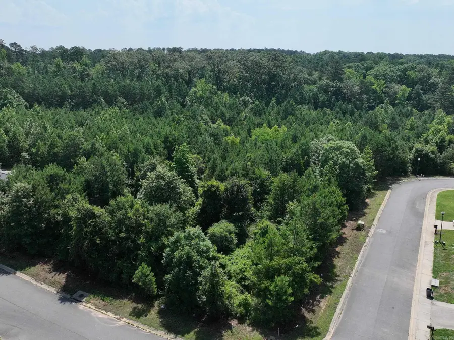 Lot 9 Somersett, Arkadelphia, AR 71923 - #2