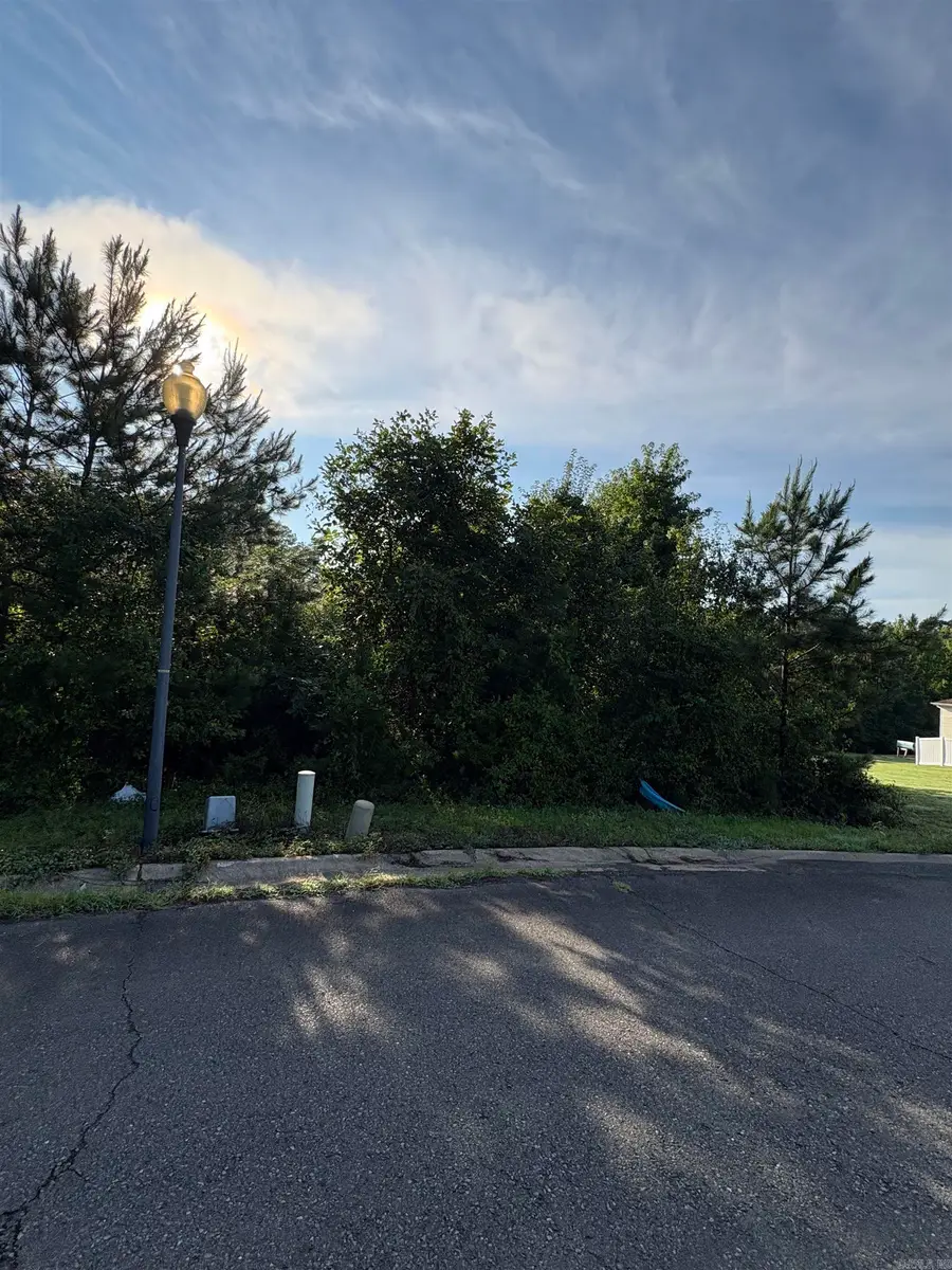 Lot 13 Somersett, Arkadelphia, AR 71923 - #3