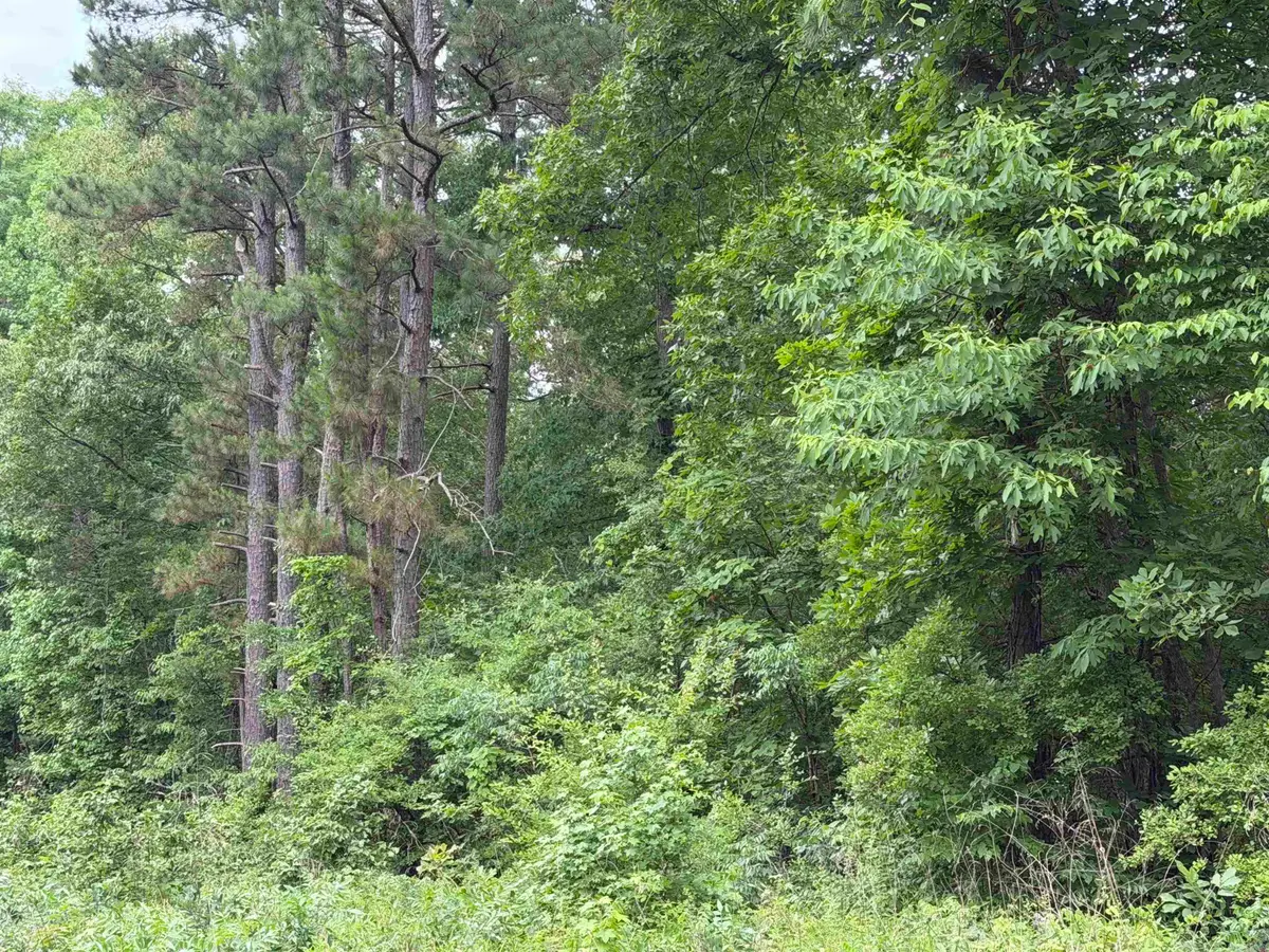 8126 Autumnwood Road, Mabelvale, AR 72103 - #1