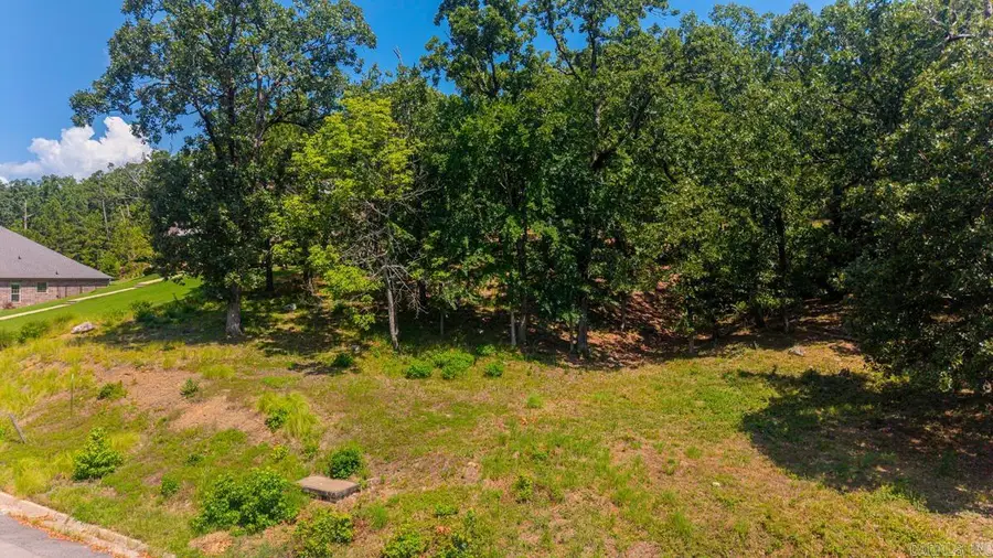 112 Turtle Creek Cv, Maumelle, AR 72113 - #2