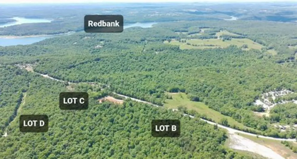 6739 Hwy 101, Gamaliel, AR 72537 - #1