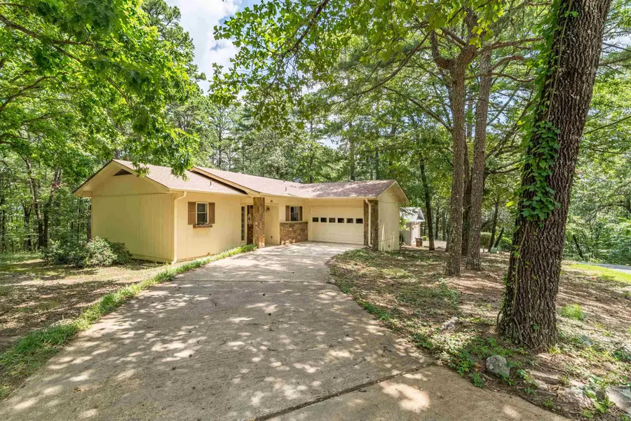 10 Totana Place, Hot Springs Village, AR 71909 - #3