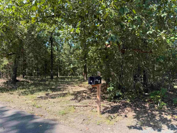 88 Fuller Rd, Conway, AR 72032