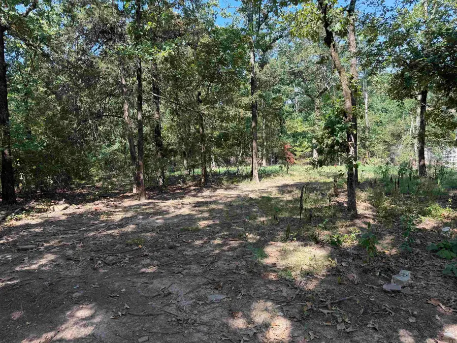 88 Fuller Rd, Conway, AR 72032 - #2