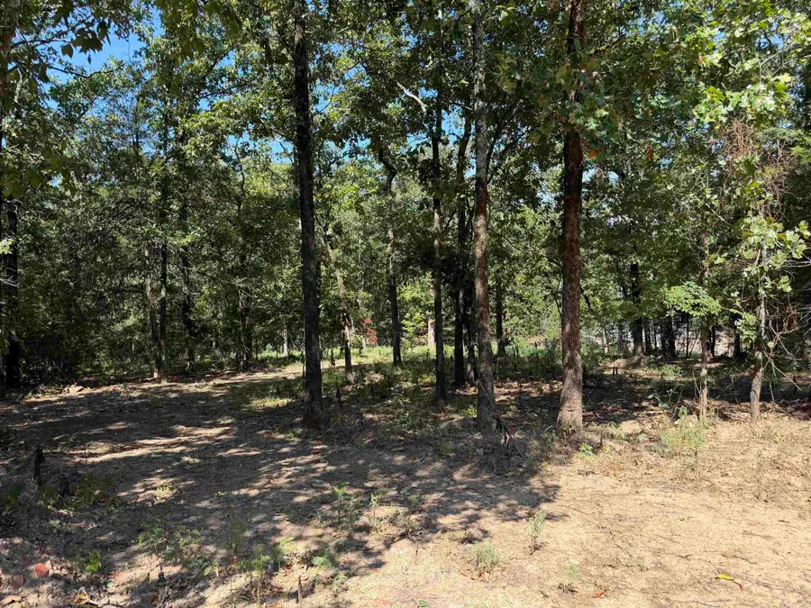 88 Fuller Rd, Conway, AR 72032 - #3