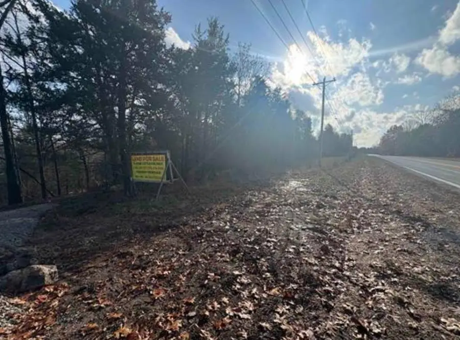 6615 Hwy 101, Gamaliel, AR 72537 - #3