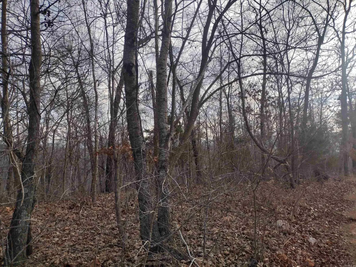0 Geier Rd, Mountain View, AR 72560 - #1