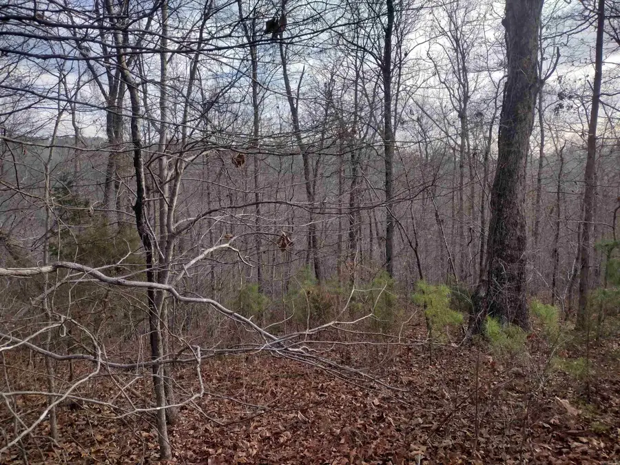 0 Geier Rd, Mountain View, AR 72560 - #3