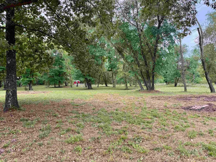 660 Apple Tree Lane, Melbourne, AR 72556 - #3