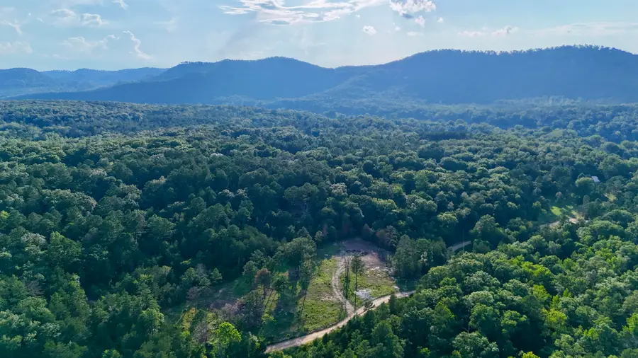 000 Ripplin Shoals Road, Melbourne, AR 72556 - #2