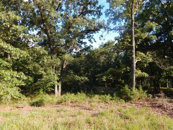Lot 13 Quail Hollow Cove, Heber Springs, AR 72543