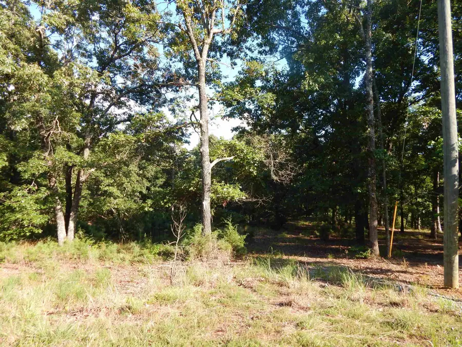 Lot 13 Quail Hollow Cove, Heber Springs, AR 72543 - #2