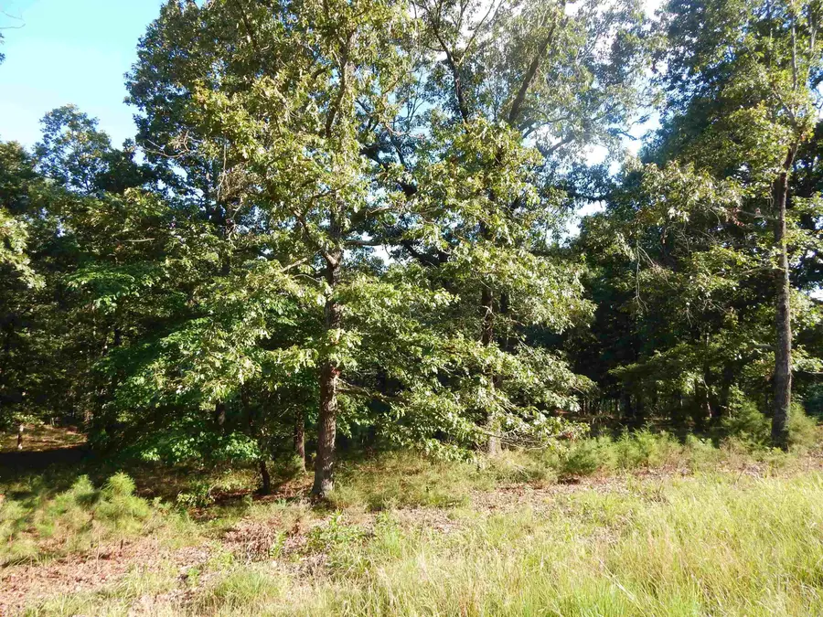 Lot 13 Quail Hollow Cove, Heber Springs, AR 72543 - #3