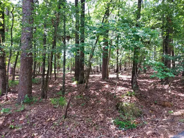 8 Villano Lane, Hot Springs Village, AR 71909