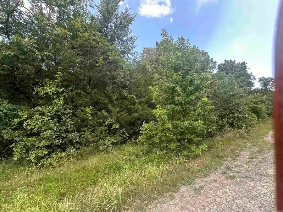 Tract 6 Golden Meadows Drive, Cabot, AR 72023 - #2