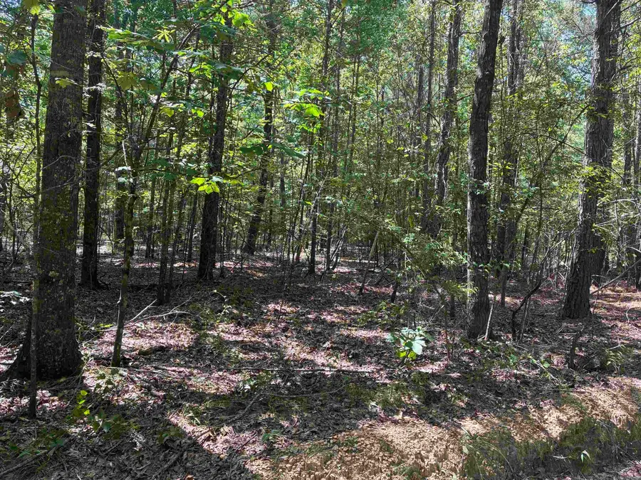 Address Withheld By Seller, Hampton, AR 71744 - #3