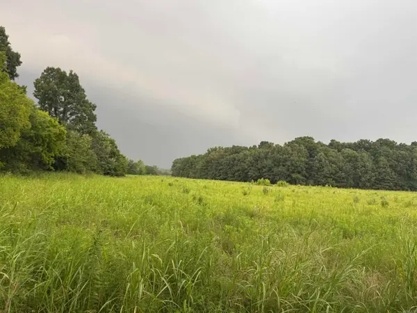 000 County Road 352, Piggott, AR 72454
