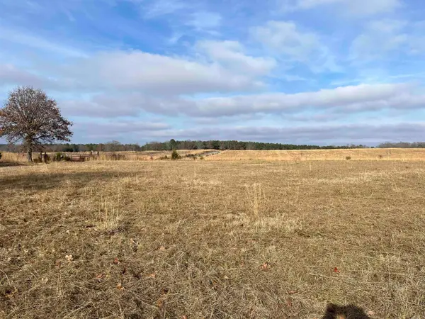 00 Hwy 124 West, Damascus, AR 72039