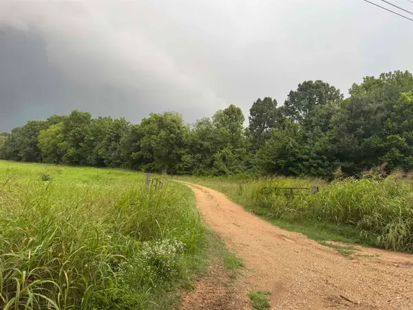 463 County Road 352, Piggott, AR 72454