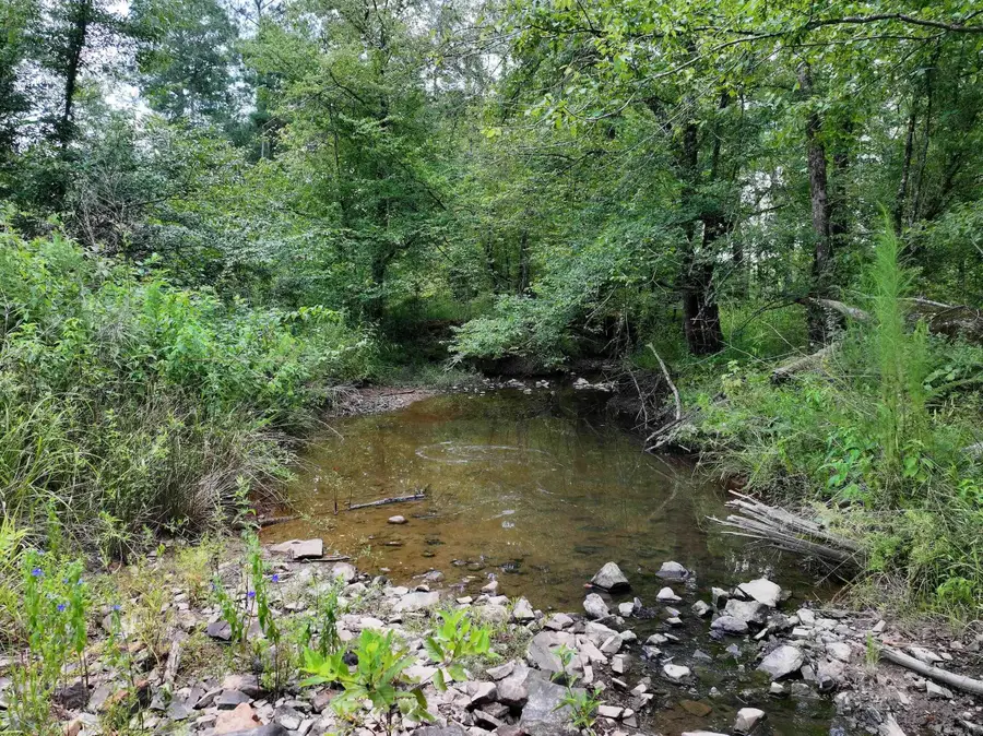 XXX Essex Road, Donaldson, AR 71941 - #3