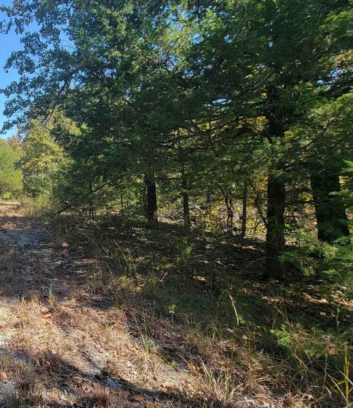 Part 16/2 Timberlane Drive, Highland, AR 72542 - #1
