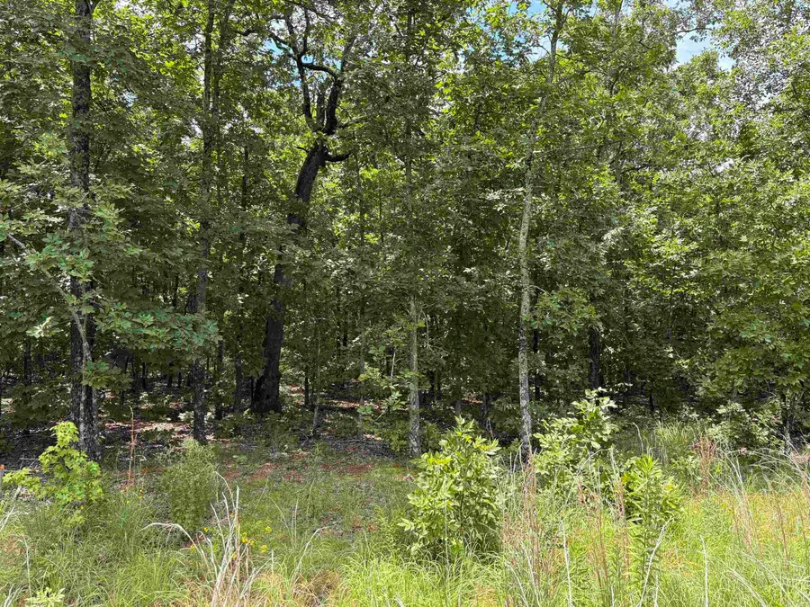 Rebecca Cove, Sherwood, AR 72120 - #3