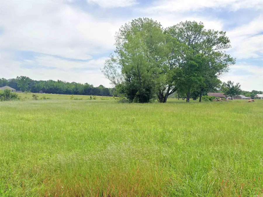 00 Hwy 225, Greenbrier, AR 72058 - #3