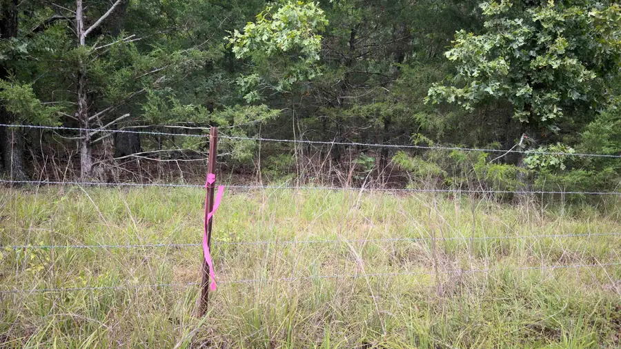 000 E Cricket Road, Cabot, AR 72023 - #2