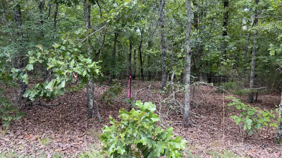 000 E Cricket Road, Cabot, AR 72023 - #3