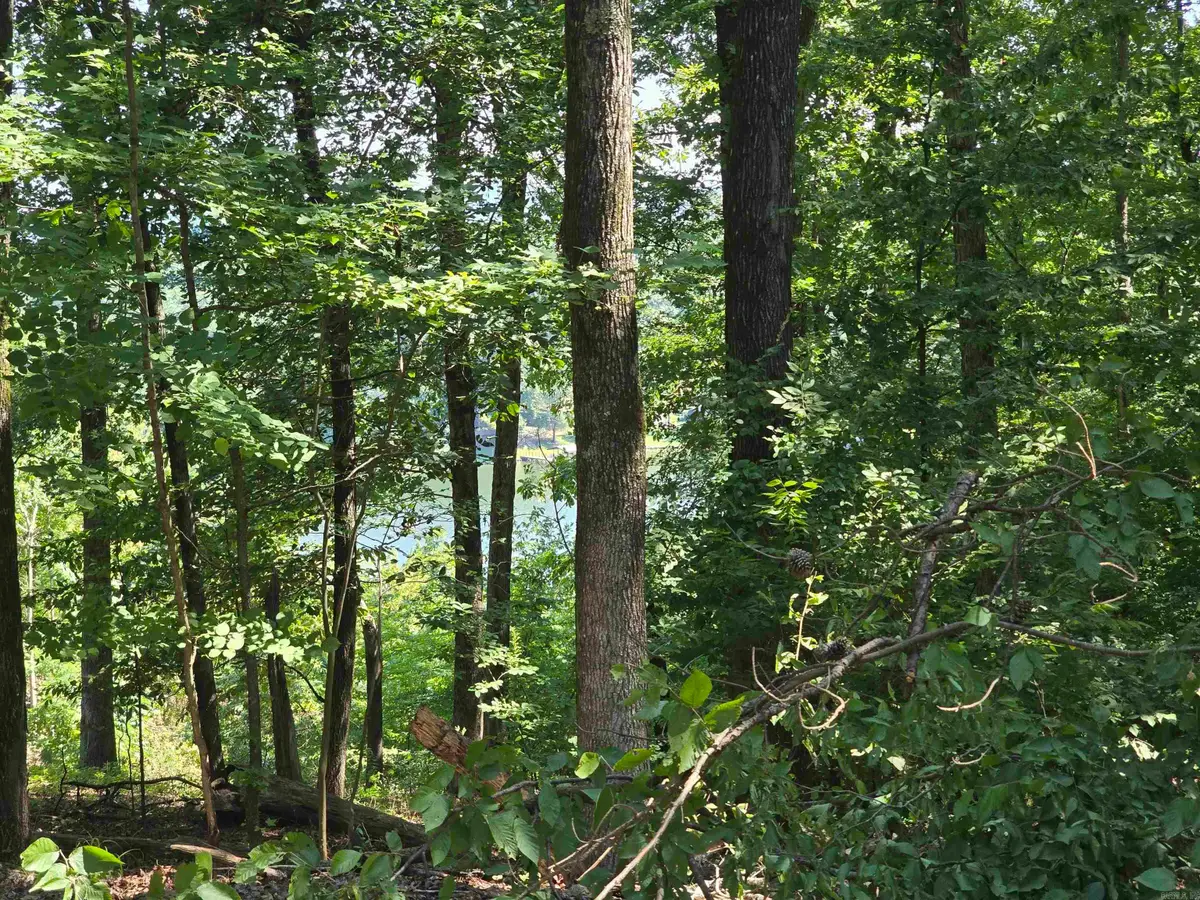 Lot 231 & 232 Medinah, Hot Springs, AR 71913 - #1